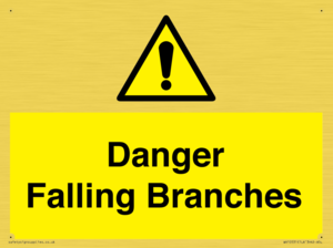 Danger Falling Branches